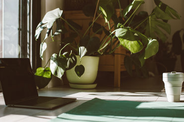 can an online retreat really help you reset? can an online retreat really help you reset?