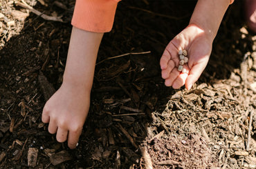 the law of compensation: seeds, soil, and the harvest you create