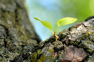 the law of rhythm: life moves in cycles